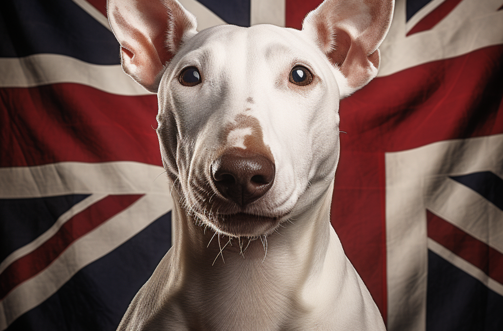 A noble white hound poses before the Union Jack in a cinematic portrait of British pride.